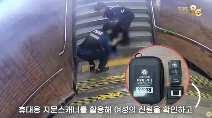 인사이트