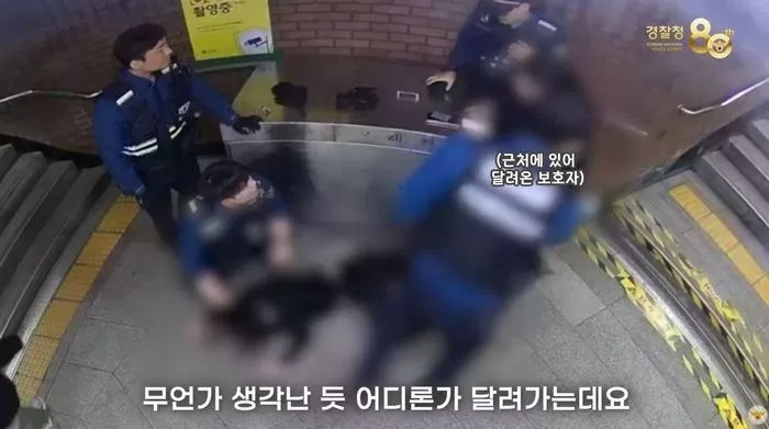 인사이트