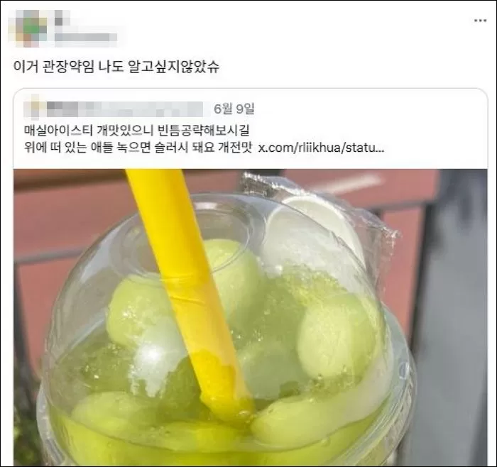 인사이트