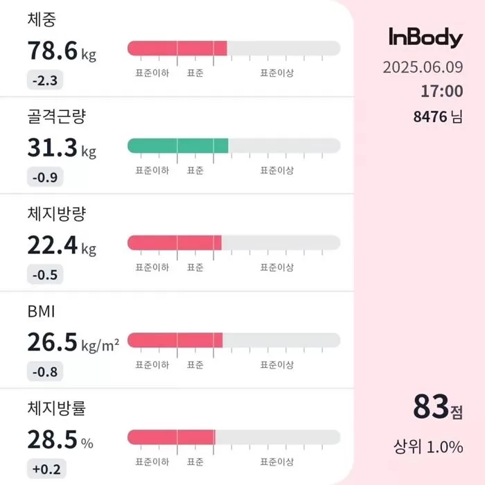 인사이트