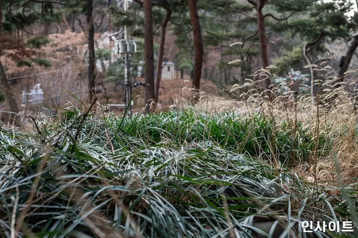 사진=인사이트