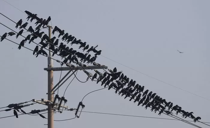 기사의 이해를 돕기 위한 자료 사진 / 뉴스1