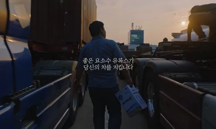 인사이트