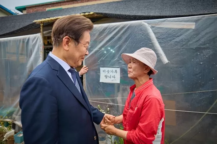 인사이트
