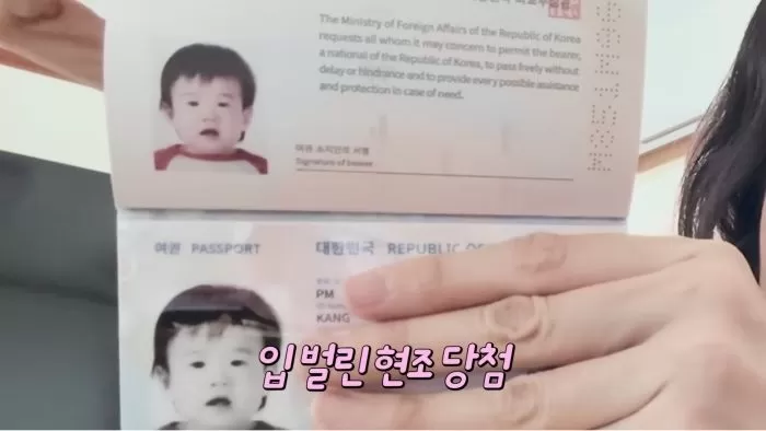 인사이트