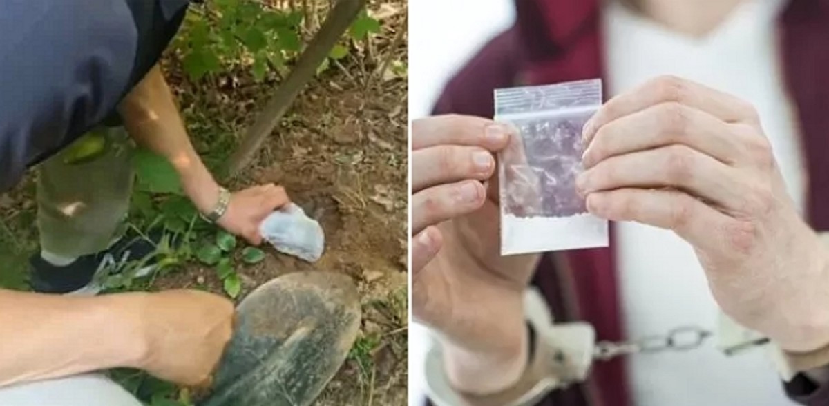 이디엘유통 이미지