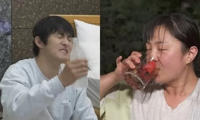 인사이트