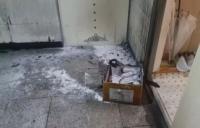 인사이트