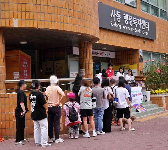 인사이트