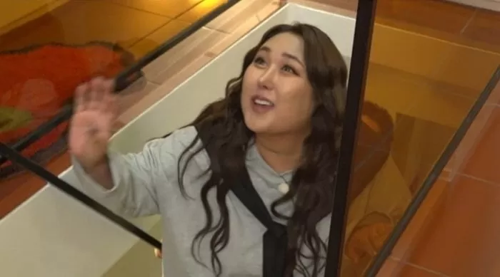 인사이트