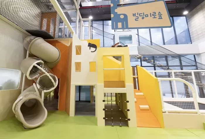 인사이트