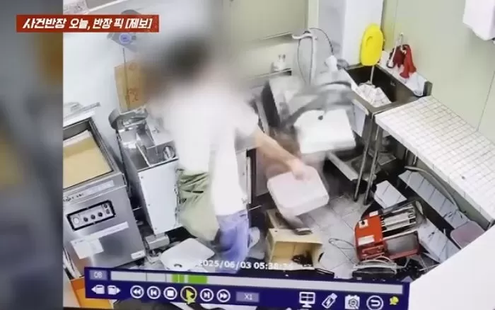 인사이트
