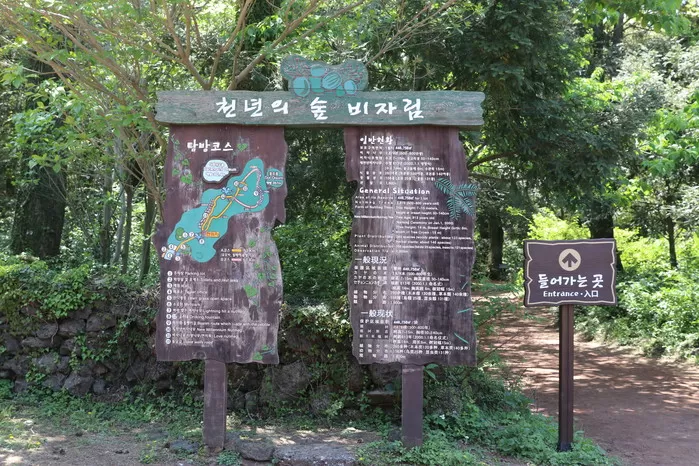 #제주도#비자림#비자나무#여행