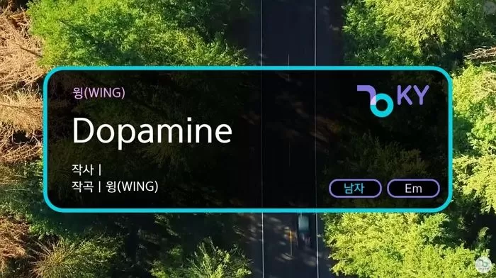 인사이트