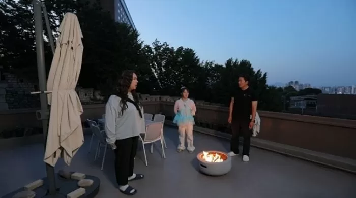 인사이트