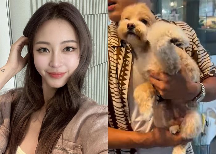 한예슬, 반려견 호텔링 맡겼다가... “다리 부러진 채 넘겨받았어요”
