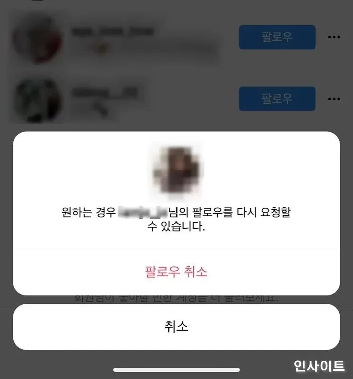 인사이트