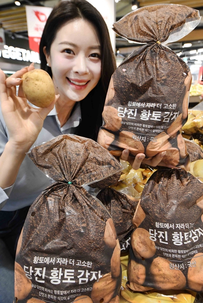 홈플러스, ‘당진 황토 감자’ 오늘(19일)부터 판매
