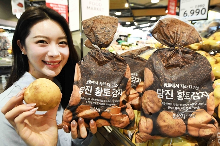 [이미지] 홈플러스, 100% 황토밭 재배 ‘당진 황토 감자’ 첫 출시(2).JPG