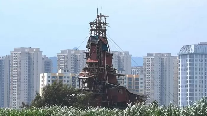 인사이트