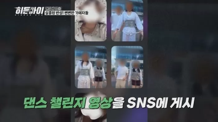 인사이트