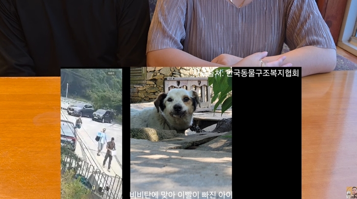 캡처_2025_06_22_08_17_33_590.jpg