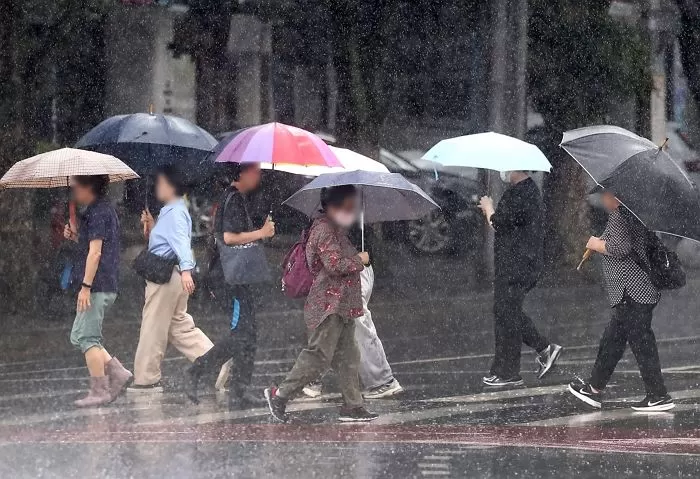 다음주, ‘물폭탄 주의보’ 떴다... “외출 때 마음 단단히 먹으세요”