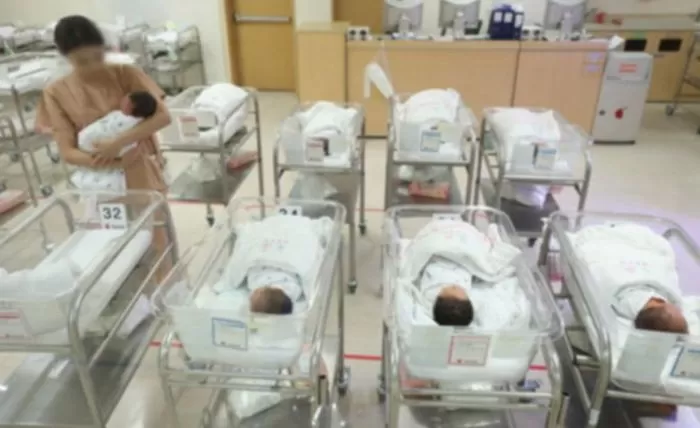 기사의 이해를 돕기 위한 자료 사진 / 뉴스1