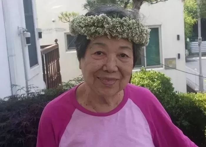 인사이트