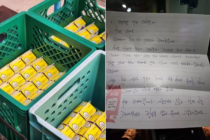 인사이트
