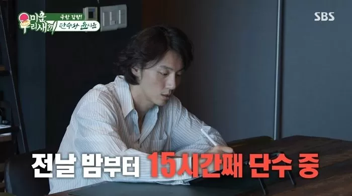 인사이트