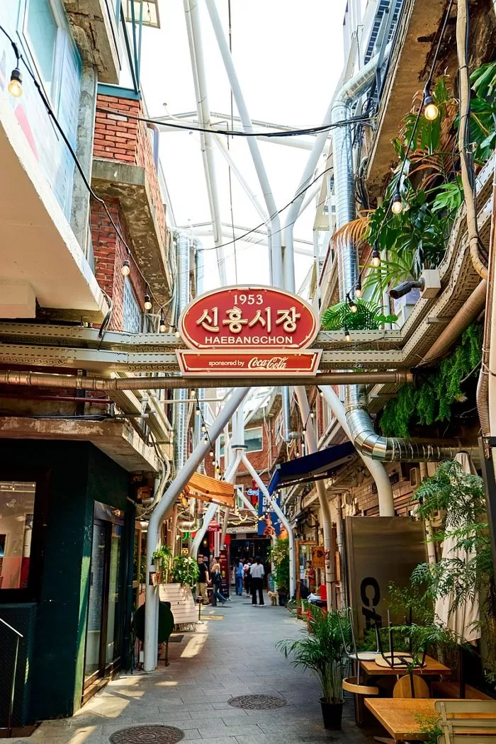 인사이트