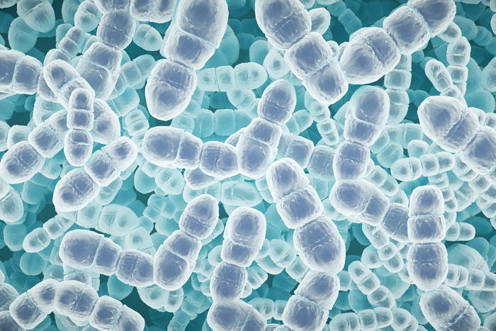 “유럽 여행 조심하세요”... 인기 관광지 4곳서 ‘이 감염병’ 확산 중