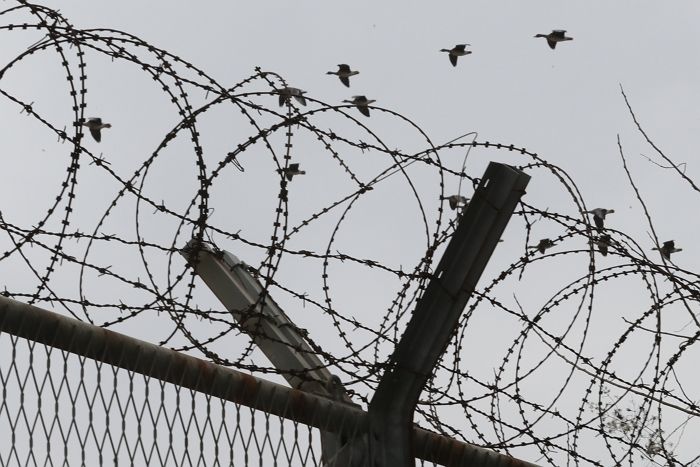 군부대 철조망 훼손 후 침입한 60대... 조사에서 한 변명