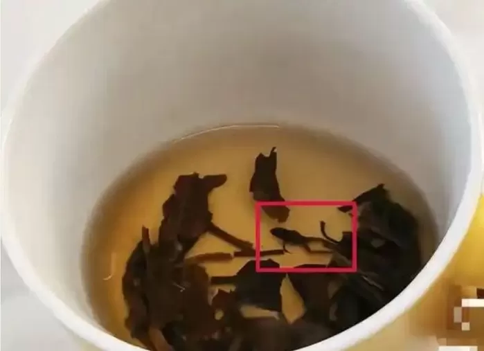“꽃차가 아니라 개구리탕이네”... 중국 프리미엄 브랜드 차에서 ‘개구리 사체’ 나와