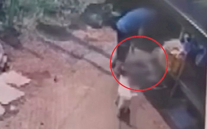 이웃집 반려견 몰래 암매장한 남성, 발뺌하다 CCTV 보여주자 “왜 나를 괴롭히나” 버럭 (영상)