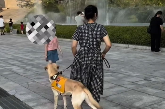 안내견에 소리 질러 놀라게 한 아이... 엄마는 사과 대신 