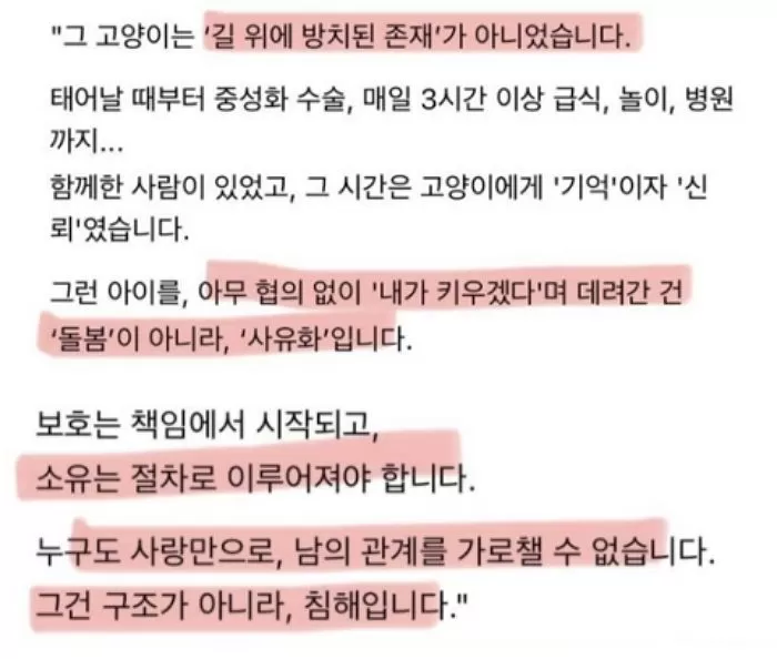 인사이트
