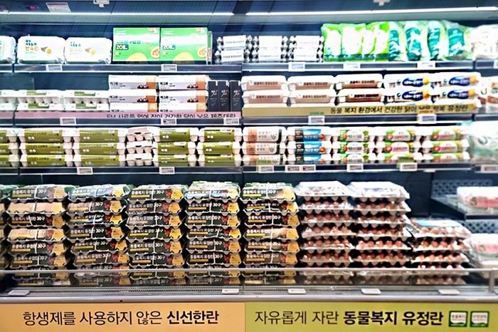 계란값 비상에 '특란 30구' 특가 승부... 이랜드 킴스클럽이 나섰다
