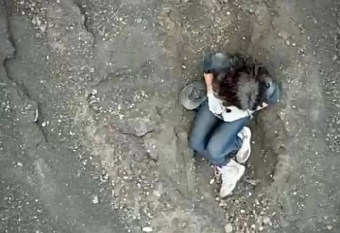 인사이트