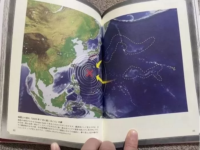 인사이트