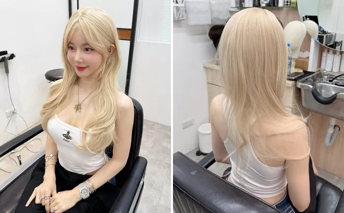 인사이트