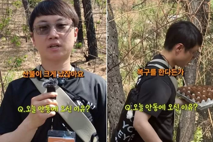 인사이트