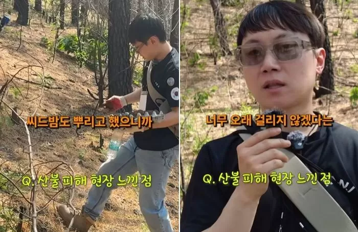인사이트