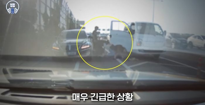 퇴근길 꽉 막힌 올림픽대로서 입에 거품 물고 쓰러져... 심정지 환자에 시민들 행동