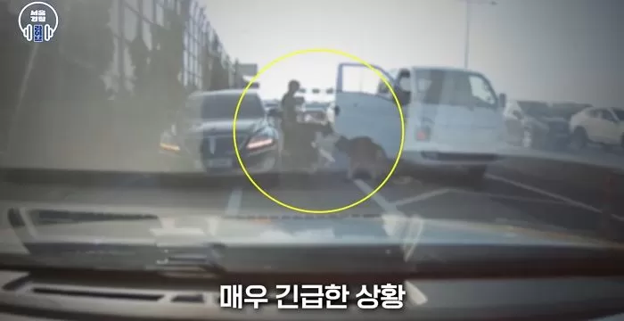 인사이트