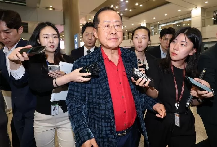 인사이트