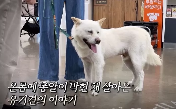 인사이트