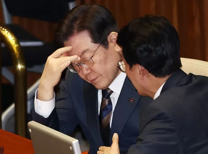 인사이트