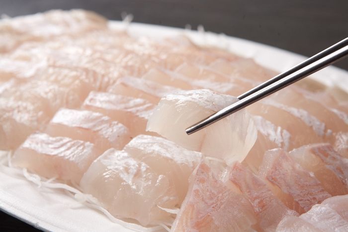 국민 횟감 ‘광어·우럭’ 이제 비싸서 못 먹는다... 양식장 “어린 물고기 씨 말라”